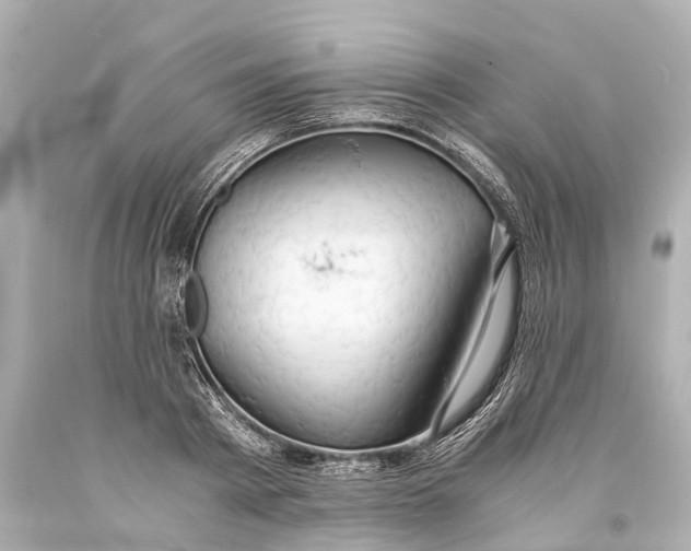X0000093590793200711051137