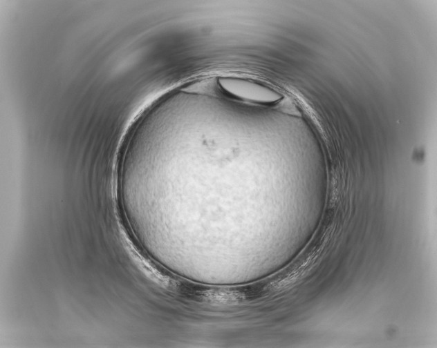 X0000093590795200711051137