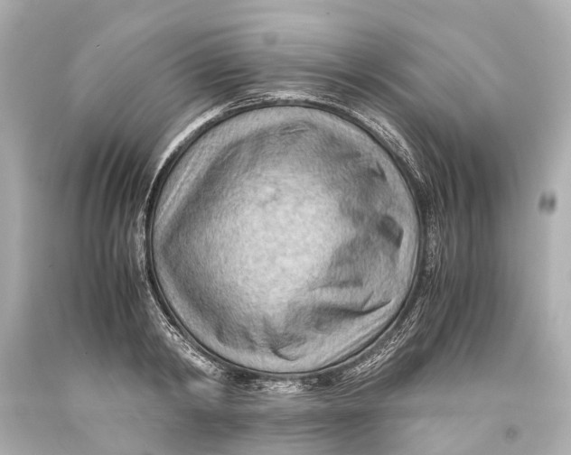 X0000093590798200711051137