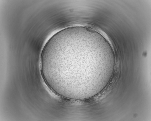 X0000093590811200711051137