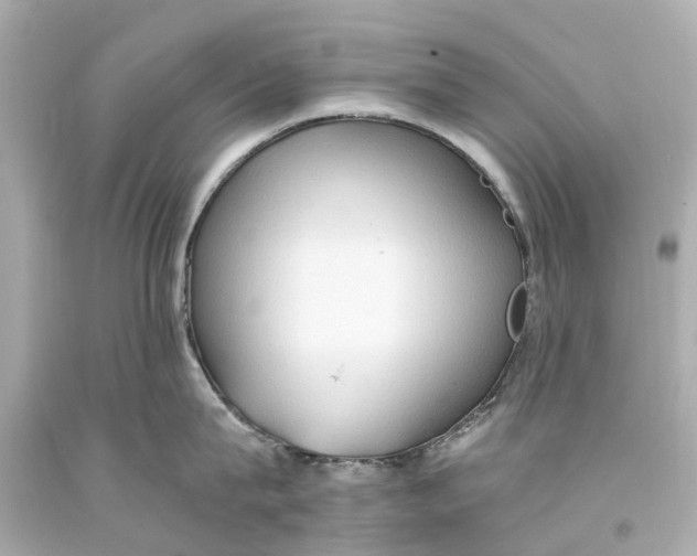 X0000093590815200711051137