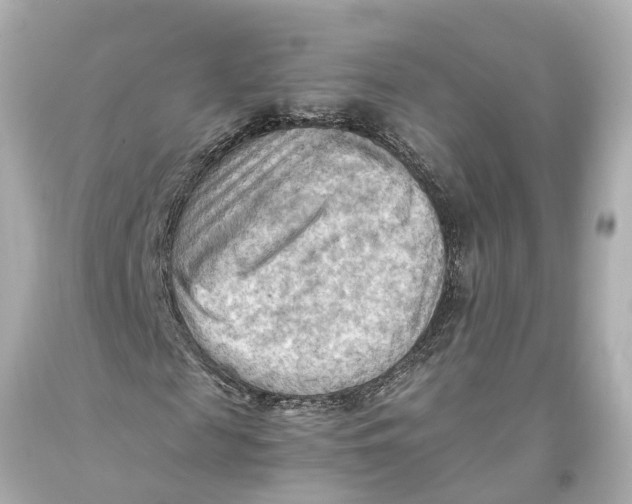 X0000093590817200711051136