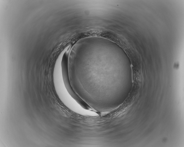X0000093590818200711051136