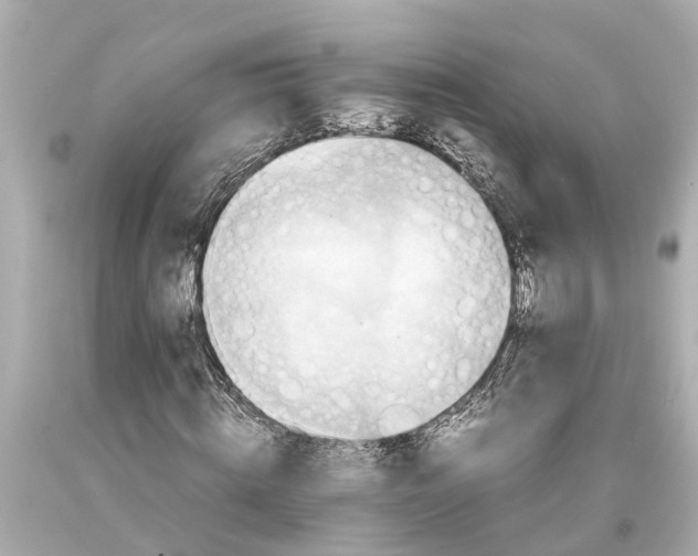 X0000093590820200711051136