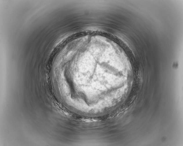 X0000093590823200711051136