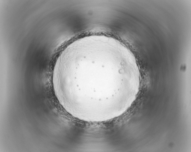 X0000093590824200711051136