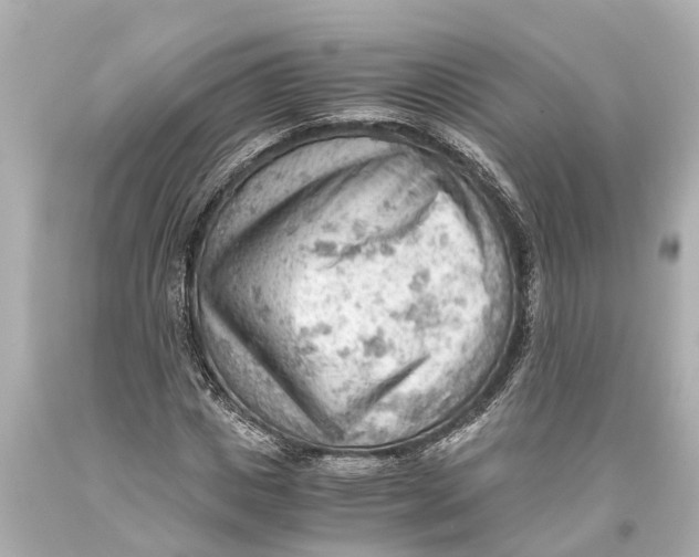 X0000093590825200711051136