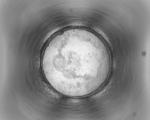 X0000093590829200711051136