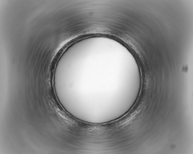 X0000093590830200711051136
