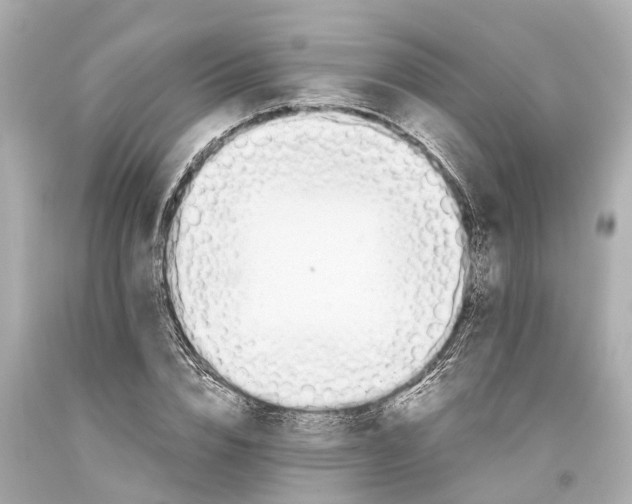 X0000093590832200711051136