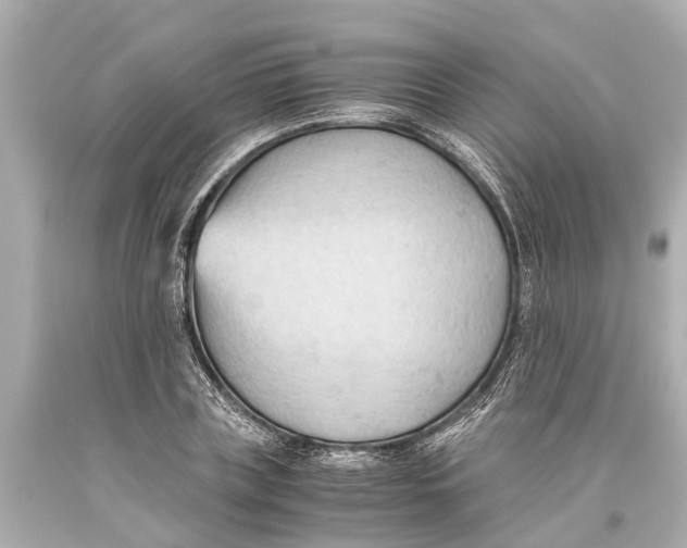 X0000093590835200711051136