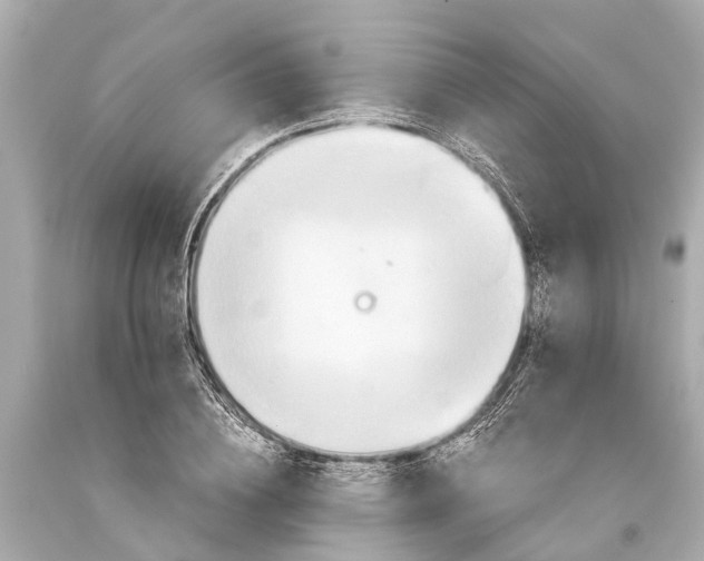 X0000093590836200711051136