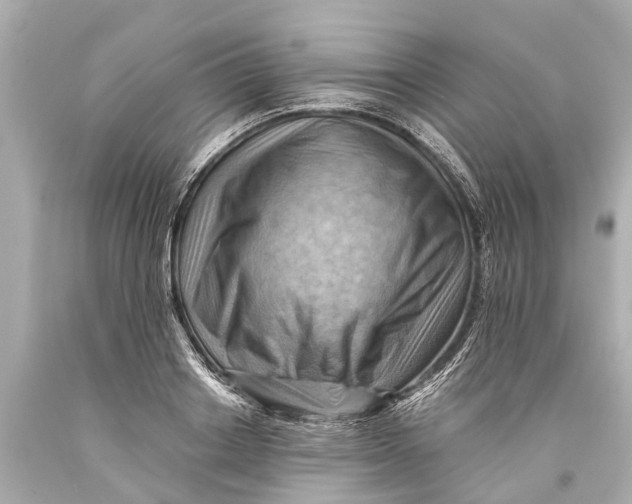 X0000093590842200711051136