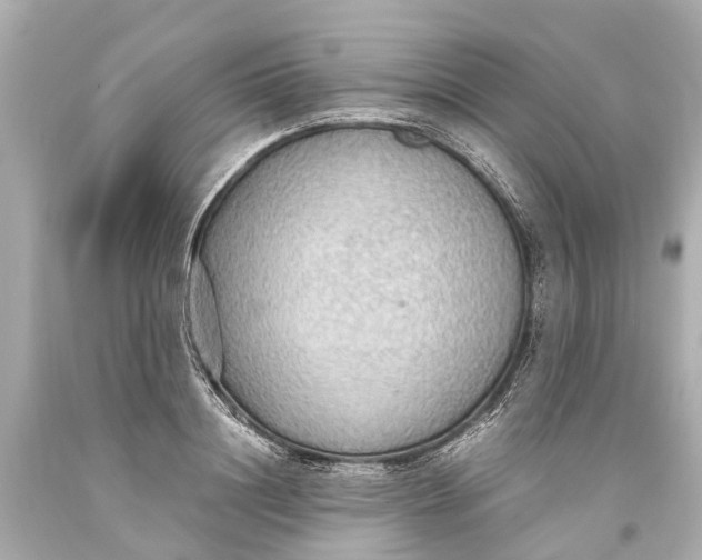 X0000093590844200711051136