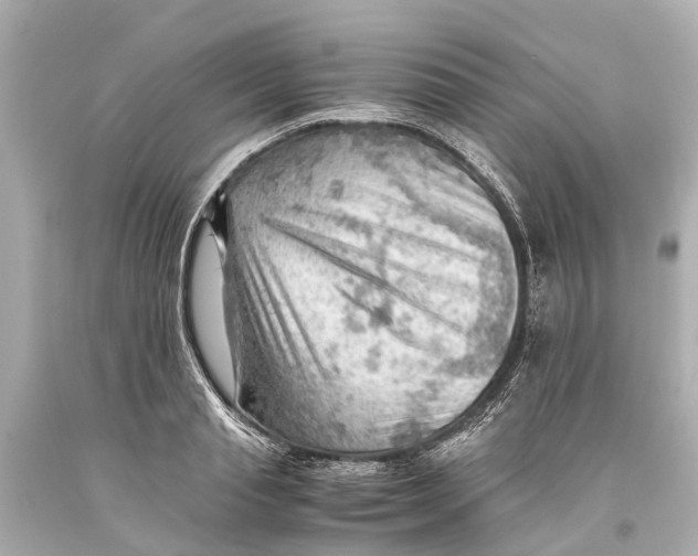 X0000093590845200711051136