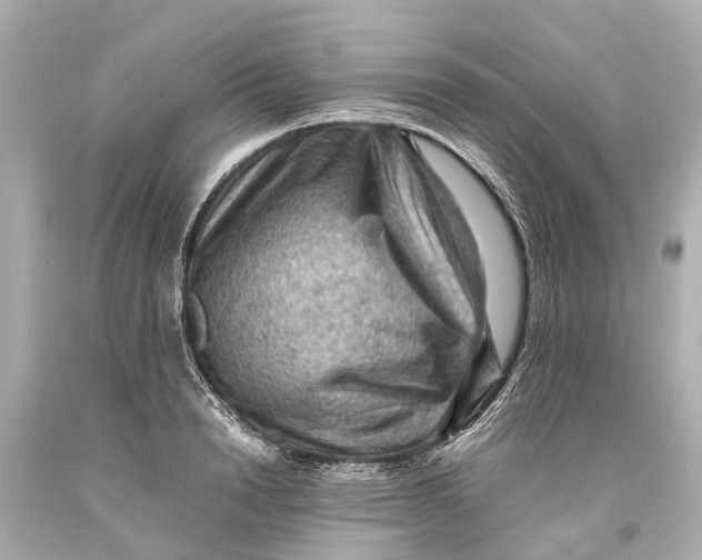 X0000093590846200711051136