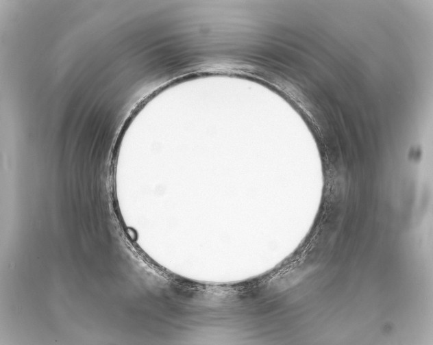 X0000093590848200711051136