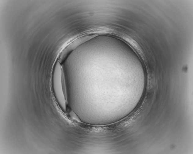 X0000093590850200711051136
