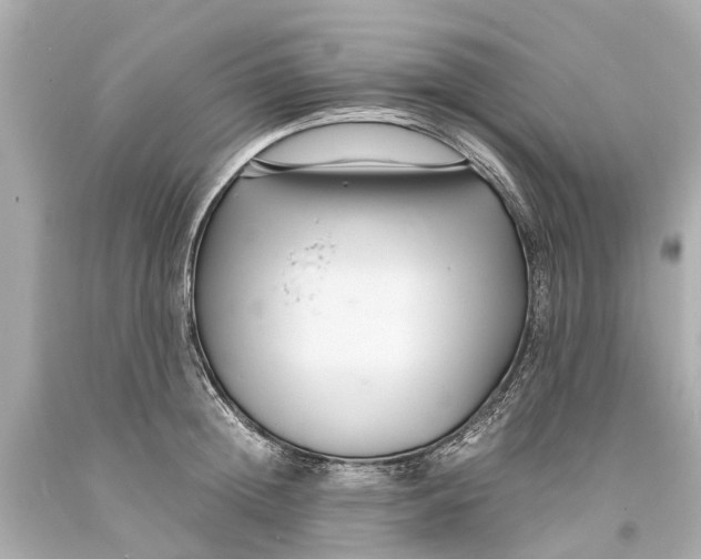 X0000093590852200711051136
