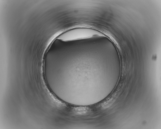 X0000093590853200711051136