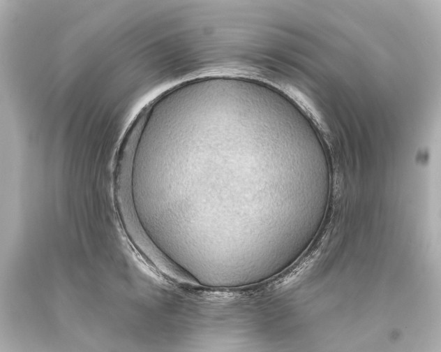 X0000093590854200711051136