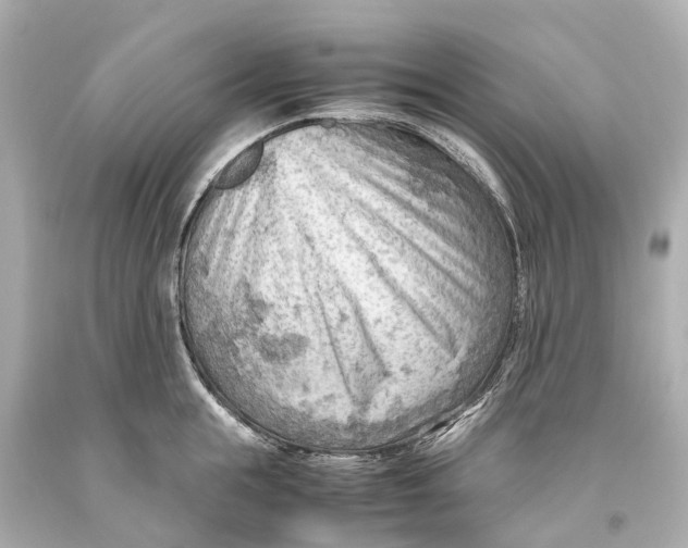 X0000093590855200711051136