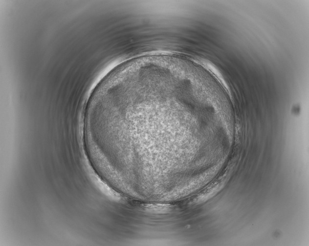 X0000093590859200711051137