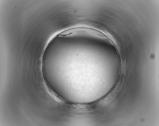 X0000093590862200711051137
