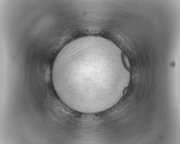 X0000093590866200711051136