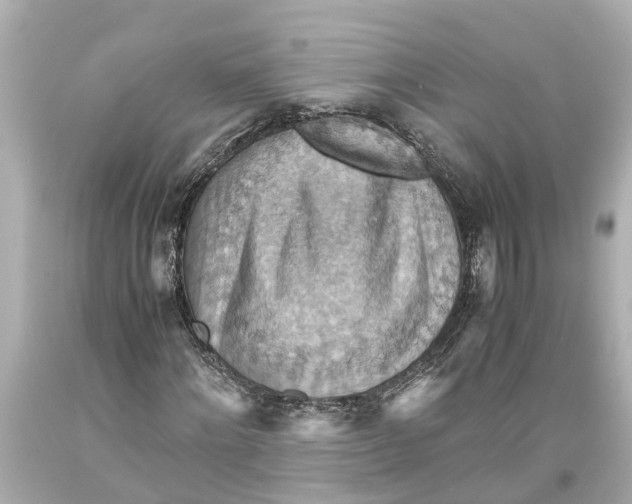 X0000093590868200711051136