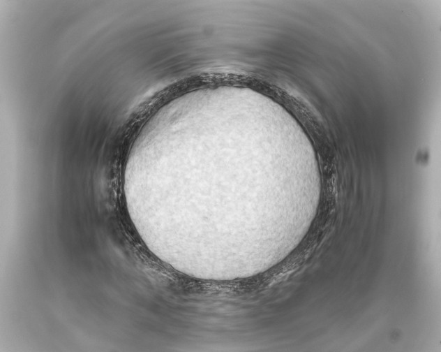 X0000093590870200711051136