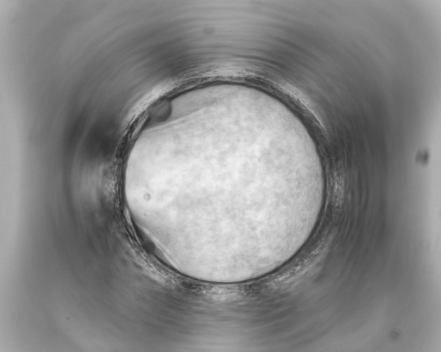 X0000093590874200711051136