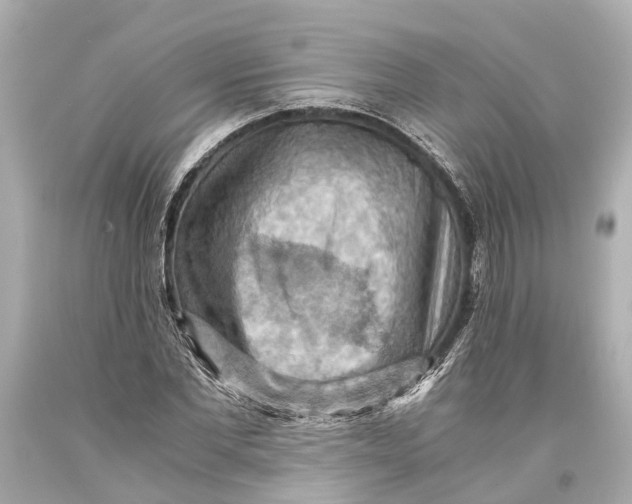 X0000093590877200711051136
