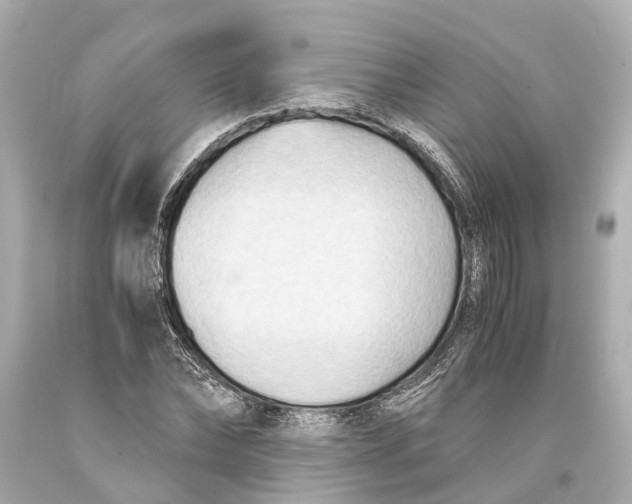 X0000093590878200711051136