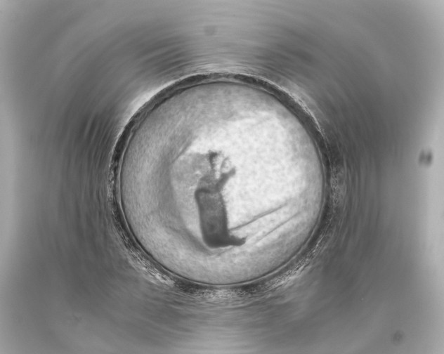 X0000093590879200711051136