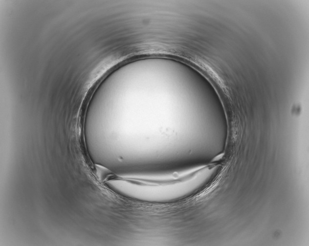X0000093590885200711051136