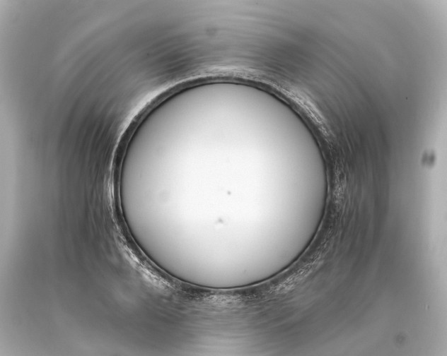 X0000093590888200711051136