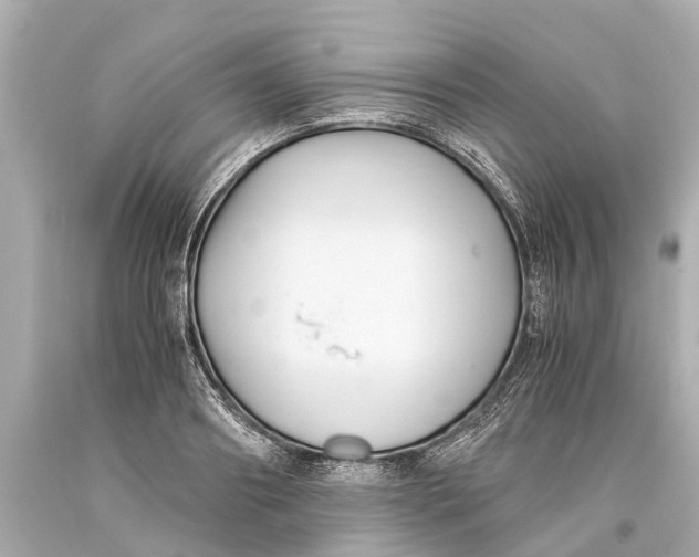X0000093590890200711051136
