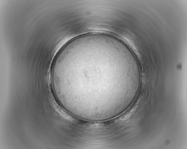 X0000093590891200711051136