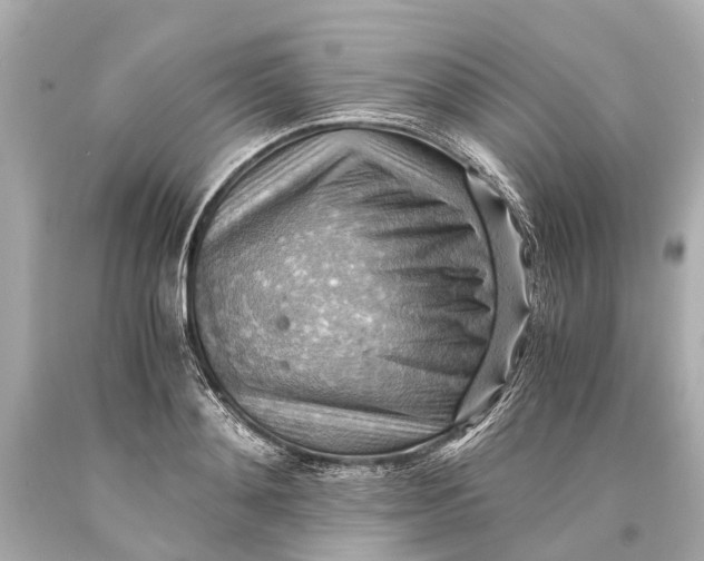X0000093590892200711051136