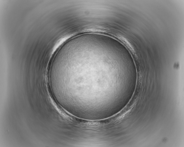 X0000093590893200711051136