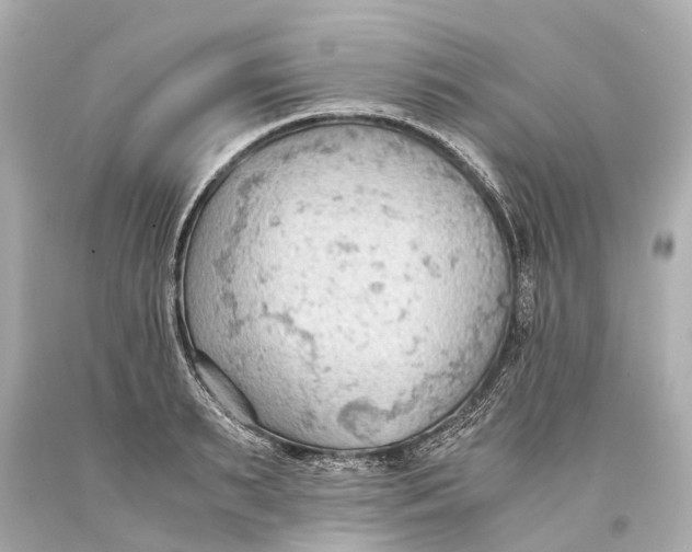 X0000093590895200711051136