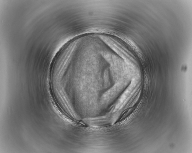 X0000093590896200711051136
