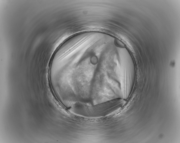 X0000093590899200711051136