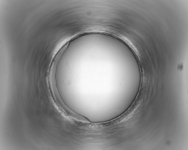 X0000093590901200711051136