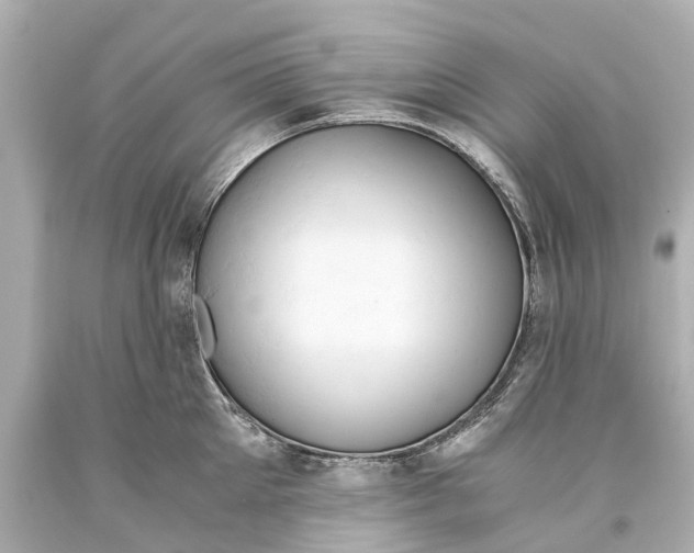 X0000093590905200711051135