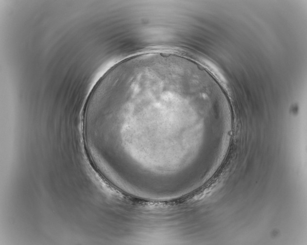 X0000093590907200711051135
