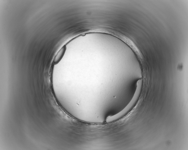 X0000093590908200711051135