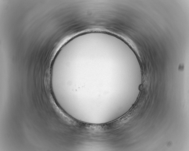 X0000093590911200711051135
