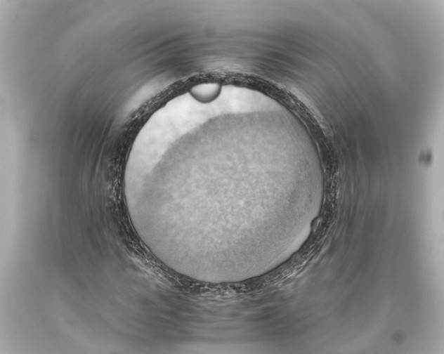 X0000093590919200711051135